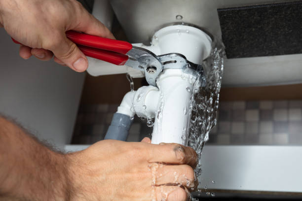 Best Commercial water damage restoration  in Lake Vla, IL