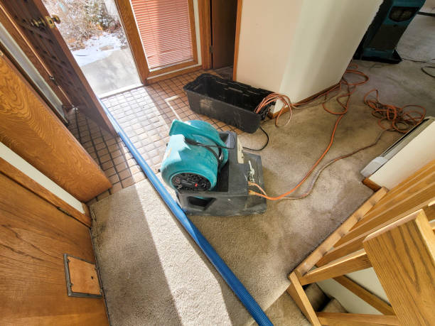 Best Residential water damage restoration  in Lake Vla, IL