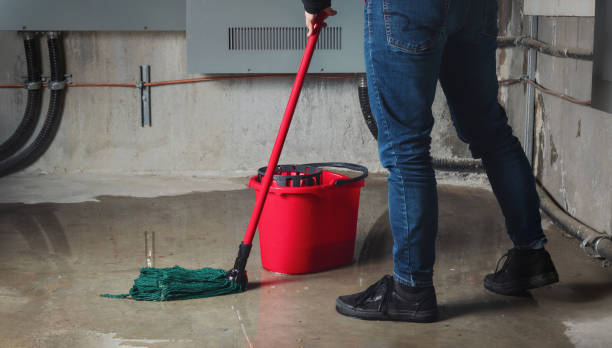 Best Water damage contractors near me  in Lake Vla, IL
