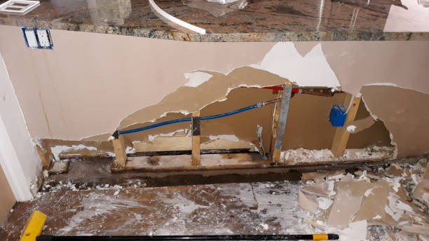 Best Water damage restoration process  in Lake Vla, IL