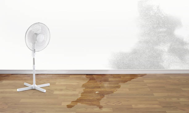 Best Local water damage restoration  in Lake Vla, IL