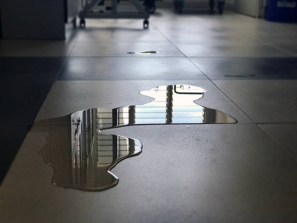 Best Ceiling water damage repair  in Lake Vla, IL
