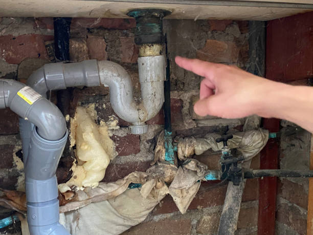 Best Water damage restoration near me  in Lake Vla, IL