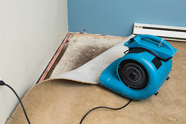 Best 24/7 water damage repair  in Lake Vla, IL